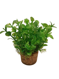 Muovikasvi jokisorapotilla Puolukka