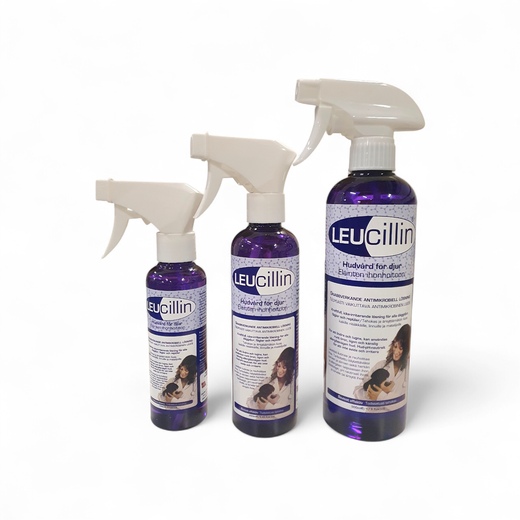 Leucillin haavaspray