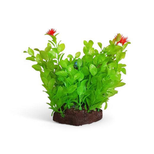 Muovikasvi ilmaletkulla kukkamustikka